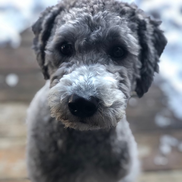 Meet your Posher, Naty - Picture 1 of 1